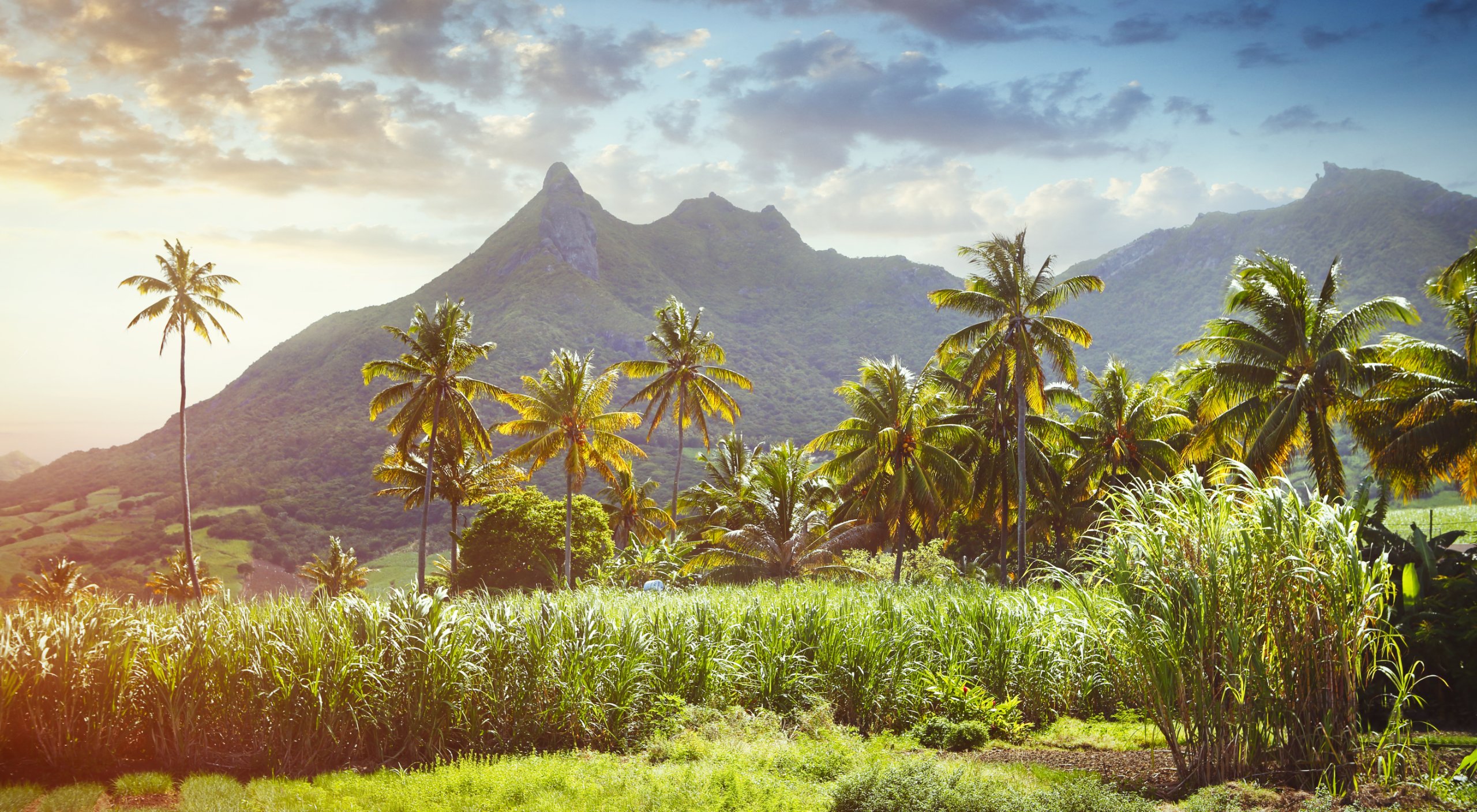 BDO Mauritius
